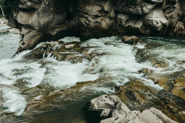 Croisières All-Inclusive: Idéales pour les Voyageurs à Mobilité Réduite
