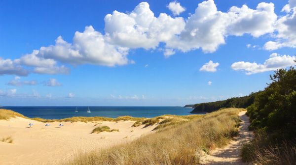 Top 5 campings à explorer en Charente-Maritime